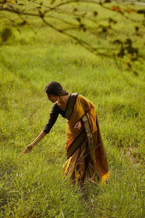 rajyogam banarasi silk saree surat