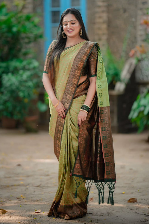 rajyogam soft silk saree surat