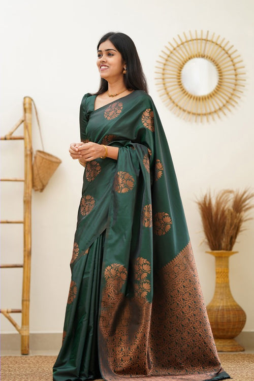 rajyogam soft silk saree surat