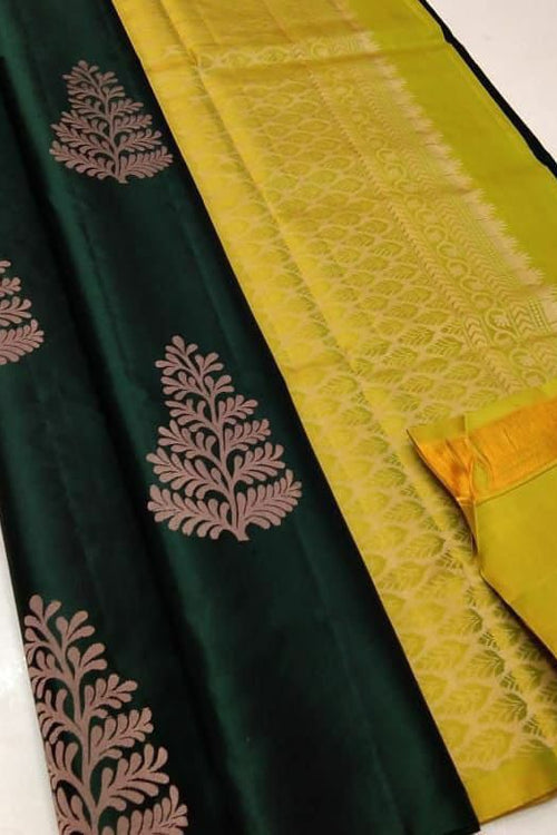 rajyogam soft silk saree surat