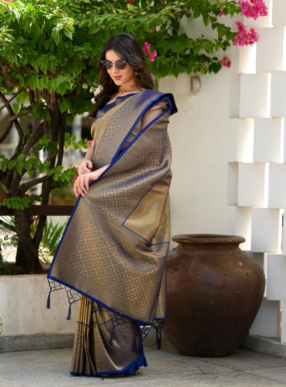 rajyogam soft silk saree surat