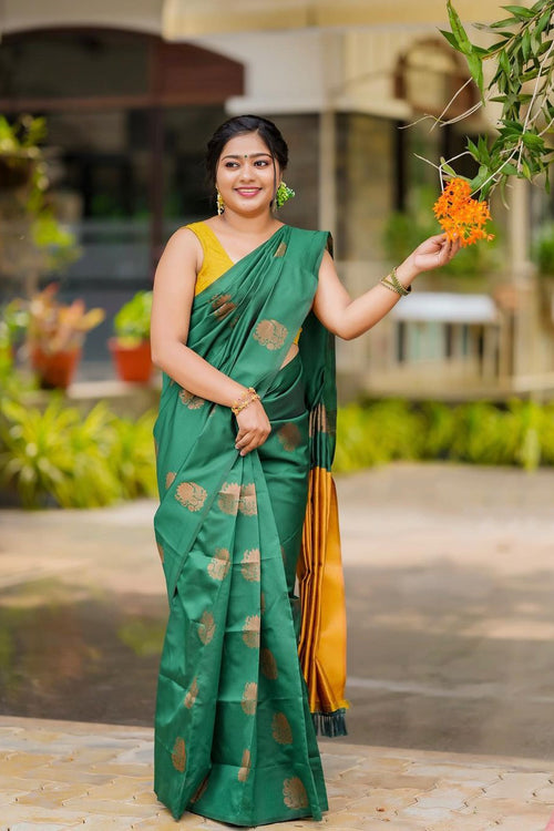 rajyogam soft silk saree surat